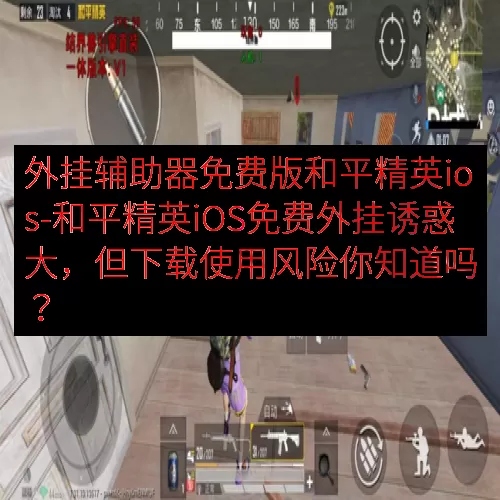 外挂辅助器免费版和平精英ios-和平精英iOS免费外挂诱惑大